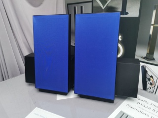 BEOLAB 2500 SPEAKERS - Quality Dream Audio